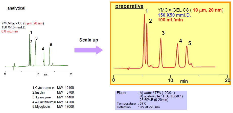 5d3962830e527.png A2.png