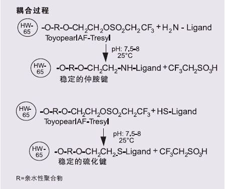 5d40f7d53ba78.png A1.png