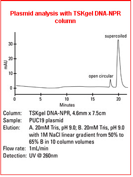 5d4b91e88e5ad.png A.png