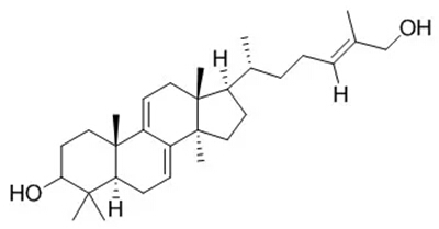 5e23ccbe51e96.jpg 24.jpg